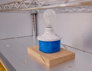 A Single Light Bulb is the Heat Source
